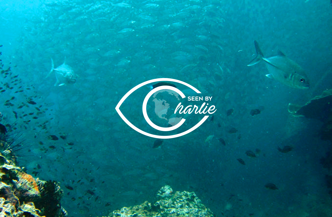 Logo Design by GLDesigns for this project | Design #10879308