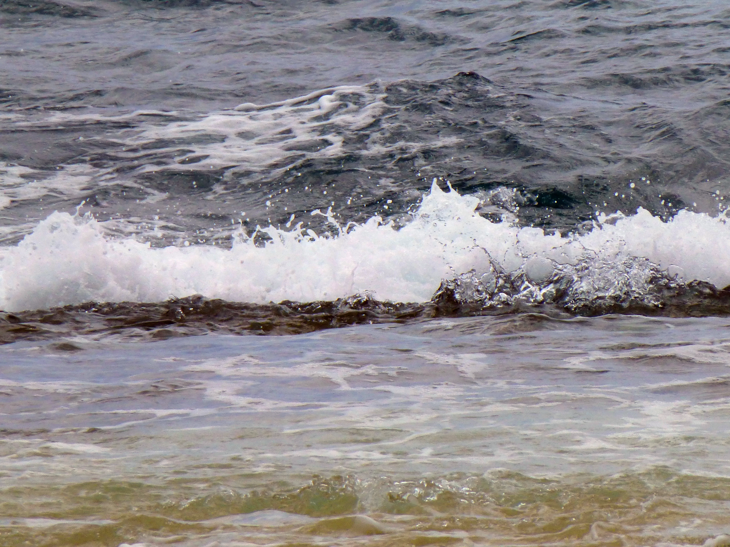 Photography by Ataxia for DesignCrowd (Community Contests) | Design #10770407