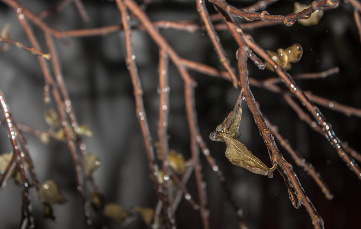 Photography by at-as for DesignCrowd (Community Contests) | Design #10772445