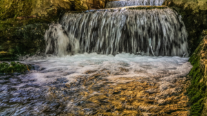 Photography by Bassam Saleh