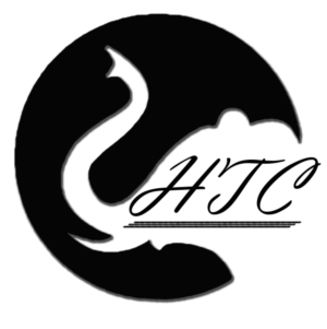 Diseño de Logo por darkonel para HT CREATION | Diseño: #10772190