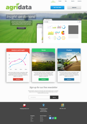 Web Design by avarion