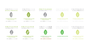 Packaging Design by Ves-Boycheva for PrivilegePhysicians.com | Design: #10845040