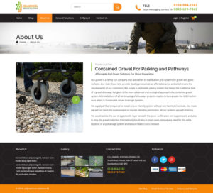 Web-Design von syrwebdevelopment für CELLGRAVEL | Design: #10814672
