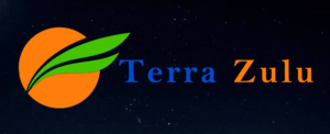 Logo-Design von E.Dorranipour für dieses Projekt | Design: #10822067