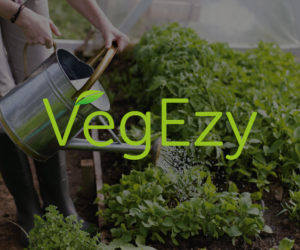 Diseño de Logo por Ellie Afonso para VegEzy | Diseño: #10928274