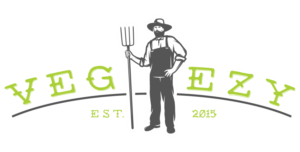 Logo Design by Hodschayan Design