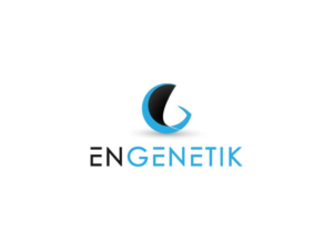 Design de Logo par ErTistic pour Engenetik | Design #10807056