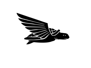 Logo-Design von rugbyjerseys für dieses Projekt | Design: #10807435
