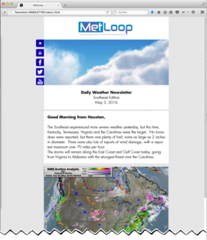 Newsletter Design by Reena