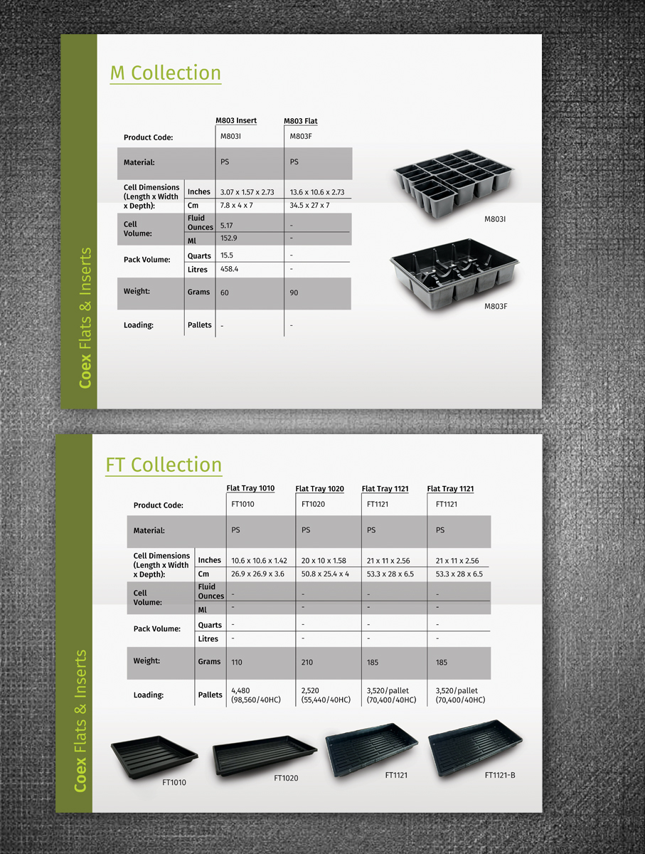 Diseño de Catálogo por rug para Ainong USA | Diseño #11021631