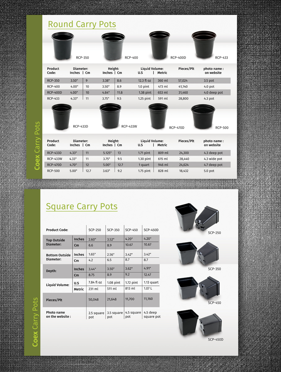 Diseño de Catálogo por rug para Ainong USA | Diseño #11021632