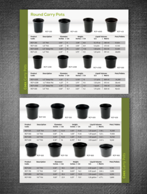 Diseño de Catálogo por rug para Ainong USA | Diseño: #11031031