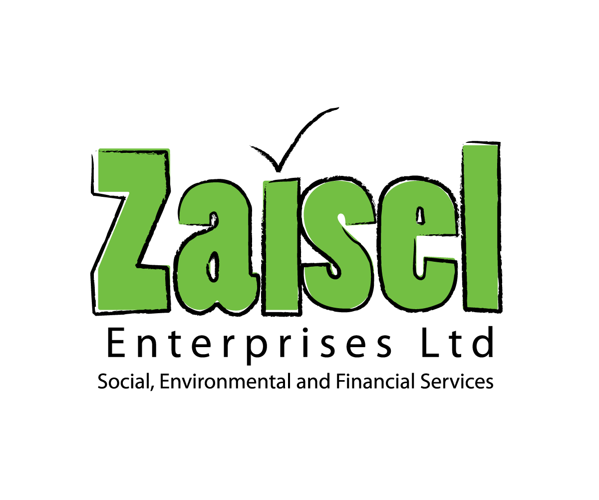 Logo Design by  Andy Nicholas for Zaisel Enterprises Ltd. | Design #2280502