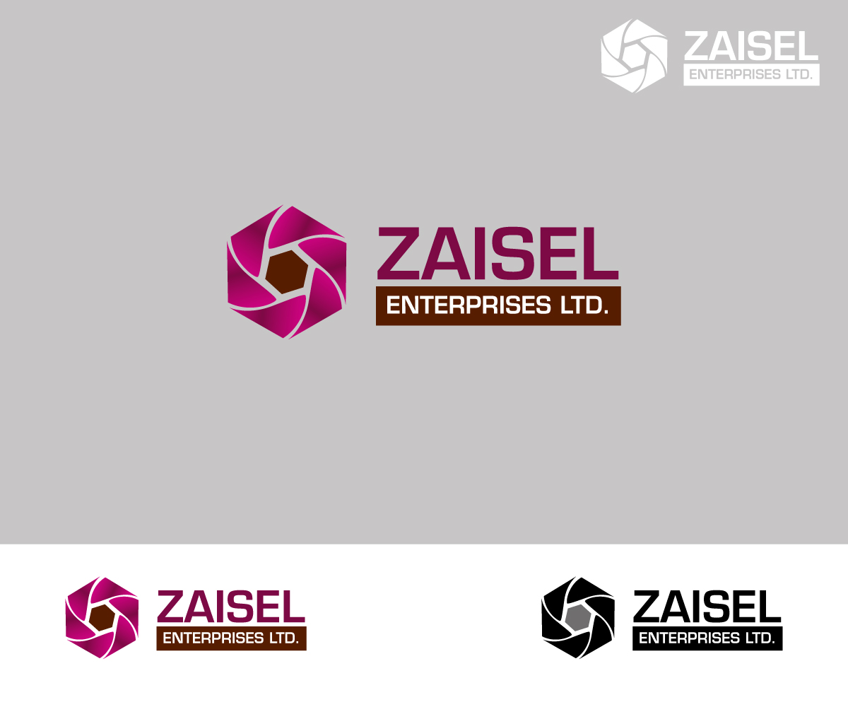 Logo Design by Crest Logo Designs for Zaisel Enterprises Ltd. | Design #2304089