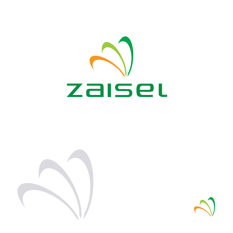 Logo Design by instudio for Zaisel Enterprises Ltd. | Design #2283220