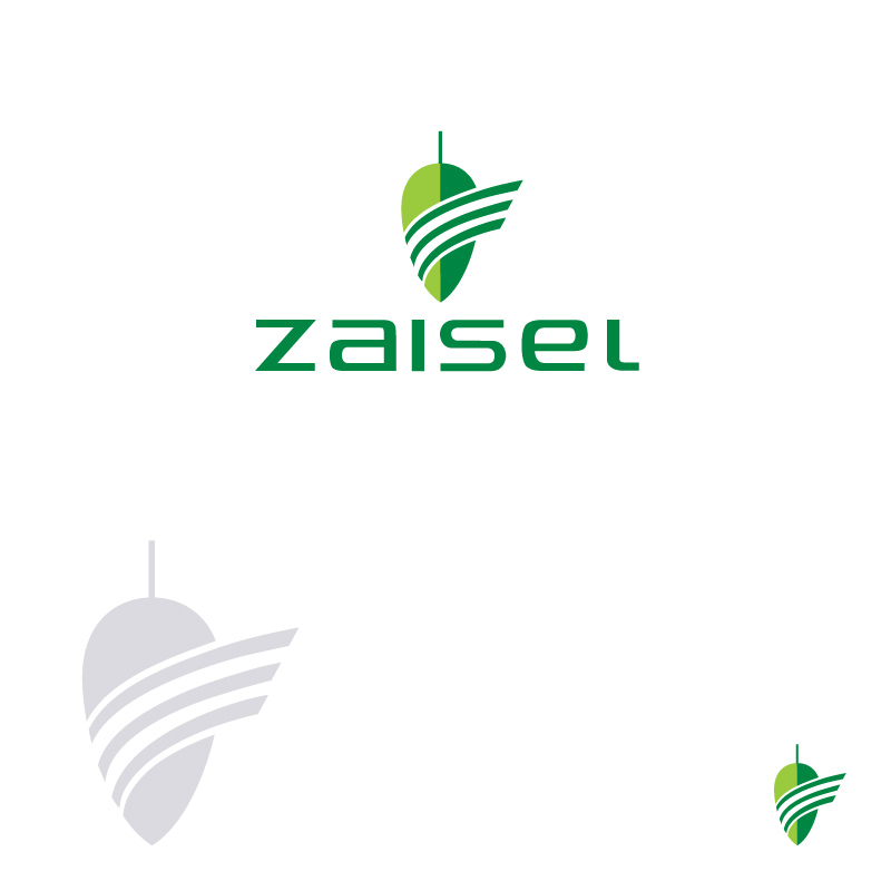 Logo Design by instudio for Zaisel Enterprises Ltd. | Design #2283380