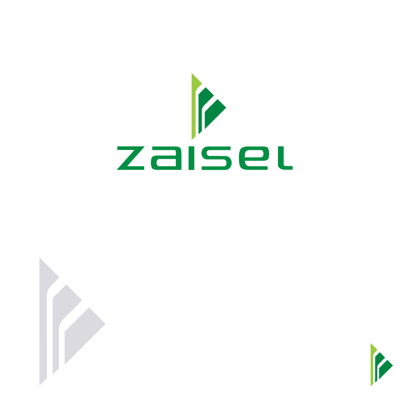 Logo Design by instudio for Zaisel Enterprises Ltd. | Design #2283381