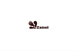 Logo Design by maivand khan