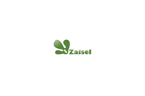 Logo Design by maivand khan for Zaisel Enterprises Ltd. | Design: #2312928