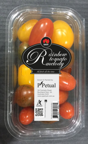 Packaging Design by Ideera for ppetual holding pty ltd | Design: #10902699