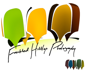 Logo Design by Nemnem