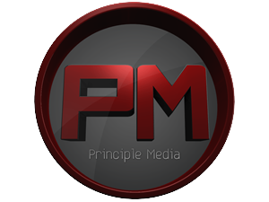 Logo Design by RaidedDesign