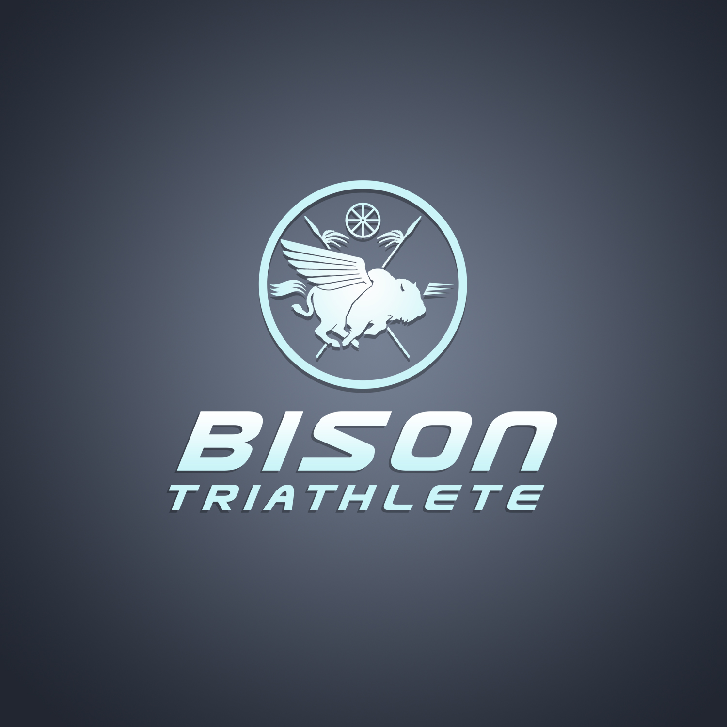 Logo Design by rugbyjerseys for Bison Triathlete | Design #10868097