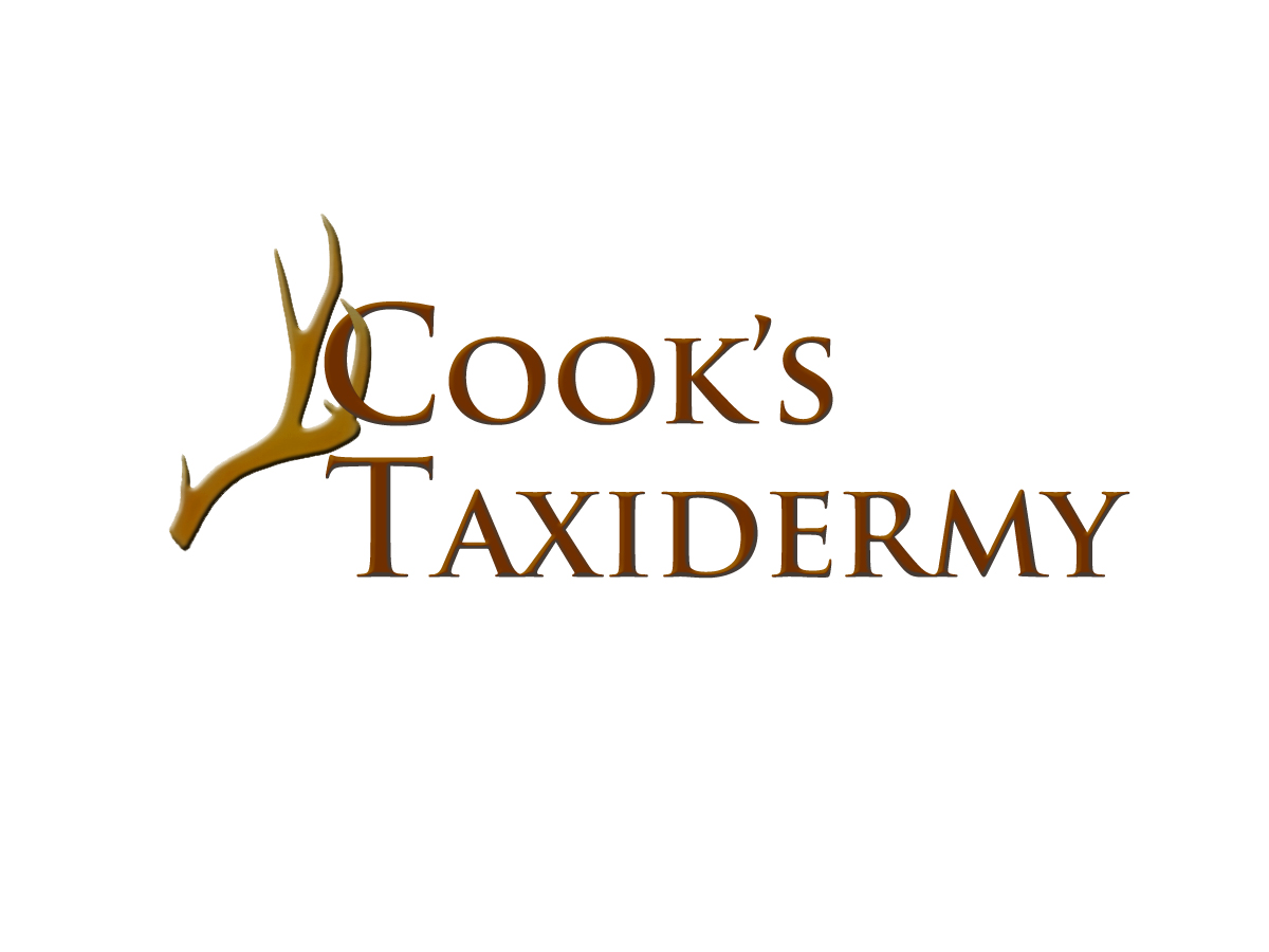 Logo Design by Shark1906 for this project | Design #2283915