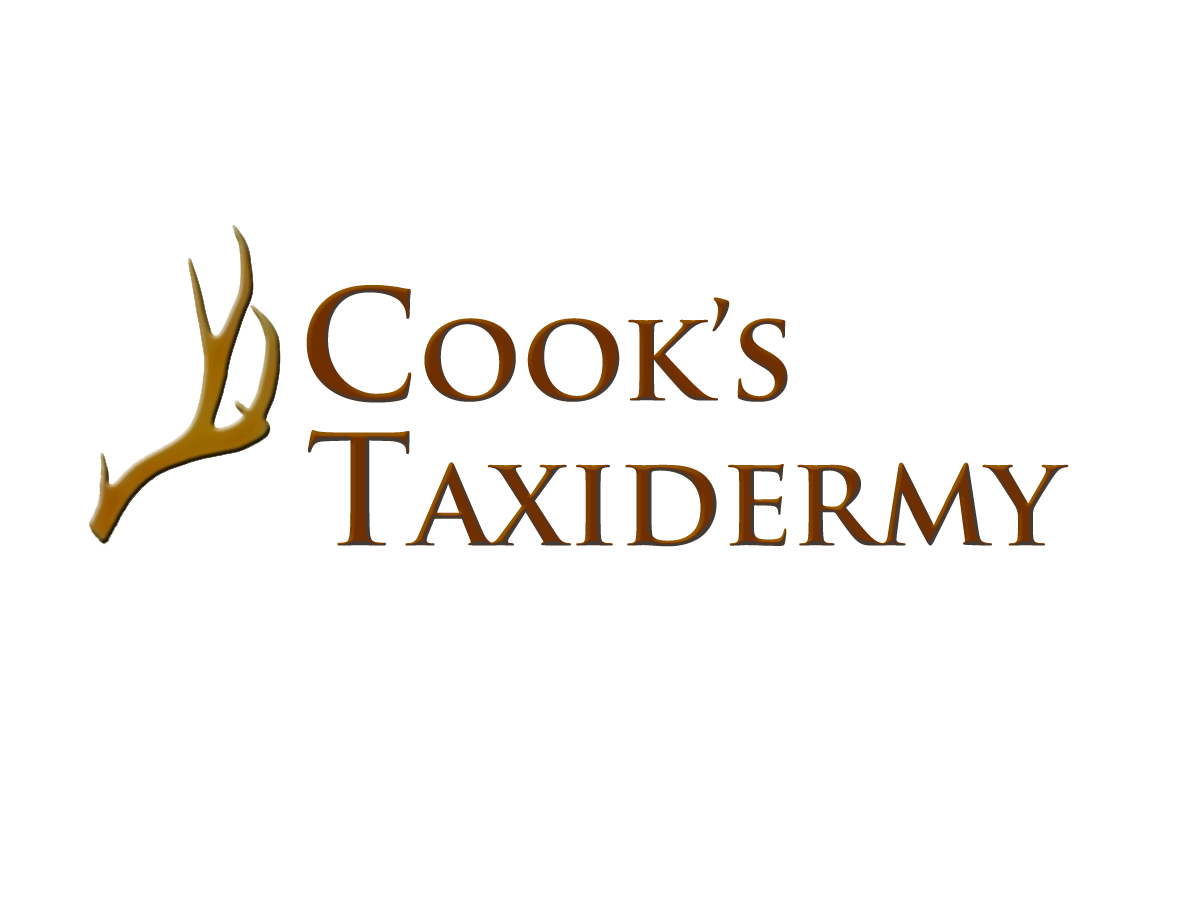 Logo Design by Shark1906 for this project | Design #2283918