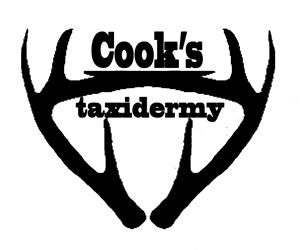 Logo Design by  blacker arrow for this project | Design #2281771