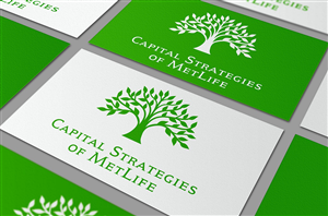 Logo Design by Visifine