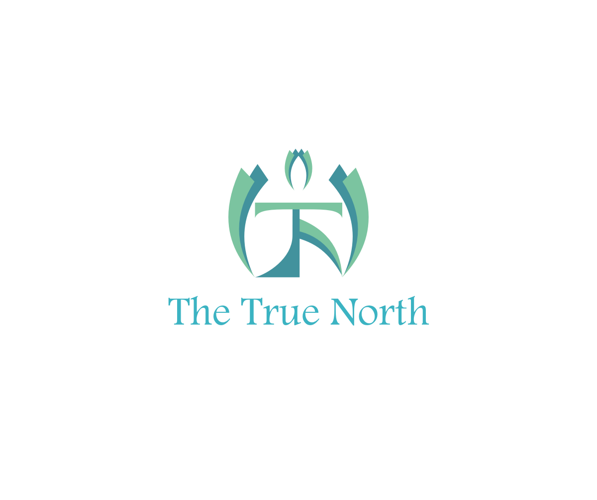 Logo Design by Axaviy Design for True North Consulting & Coaching | Design #10814953