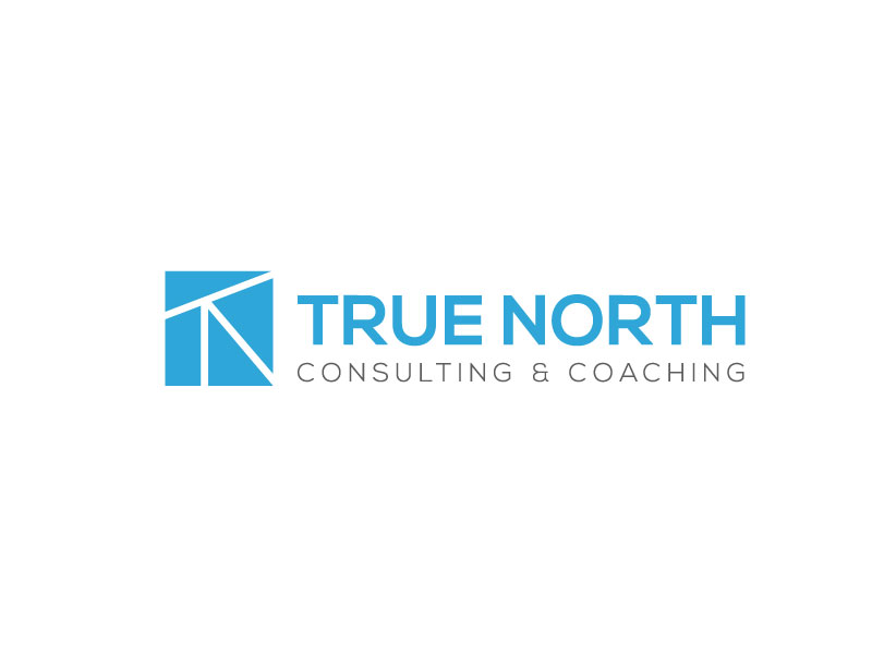 Logo Design by saddam.nh2015 for True North Consulting & Coaching | Design #10828320