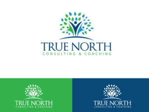 Diseño de Logo por zidne para True North Consulting & Coaching | Diseño: #10827027