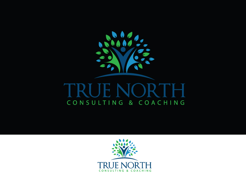 Diseño de Logo por zidne para True North Consulting & Coaching | Diseño #10827030
