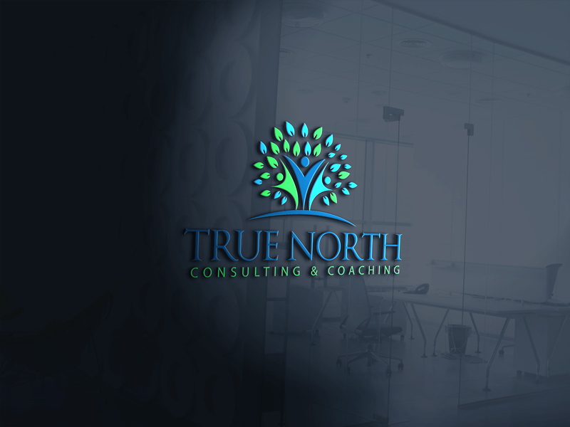 Logo Design by zidne for True North Consulting & Coaching | Design #10827032