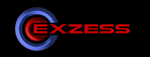 Logo Design by E.Dorranipour for Exzess International Co., Ltd. | Design: #10824731