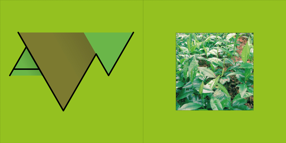 Logo Design by firedesigns for this project | Design #2277757