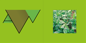 Logo Design by firedesigns for this project | Design: #2277757