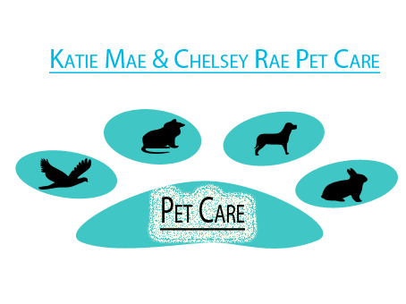 Logo Design by Abiha Fatima for Social Communications  | Design #2269930