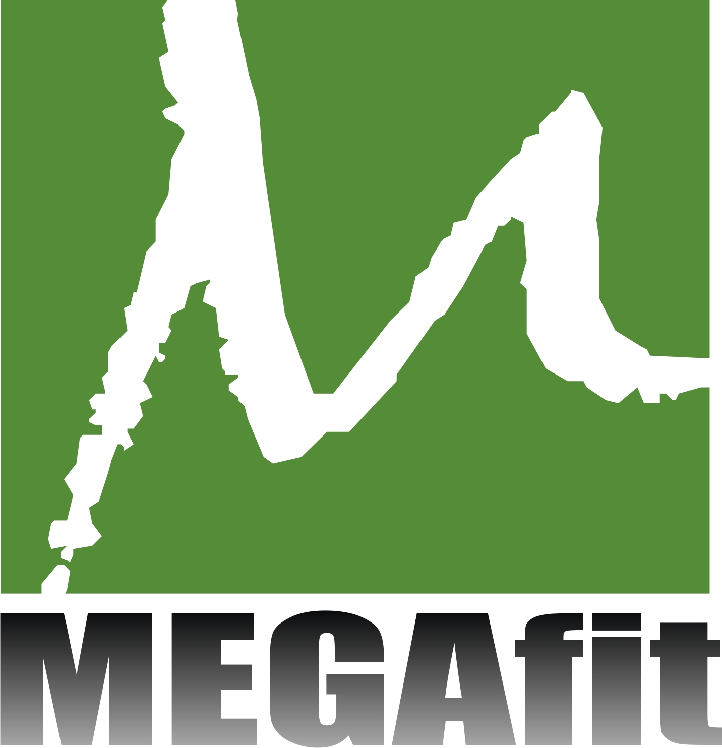 Diseño de Logo por LUSH GRAPHIX para megafit | Diseño #21501