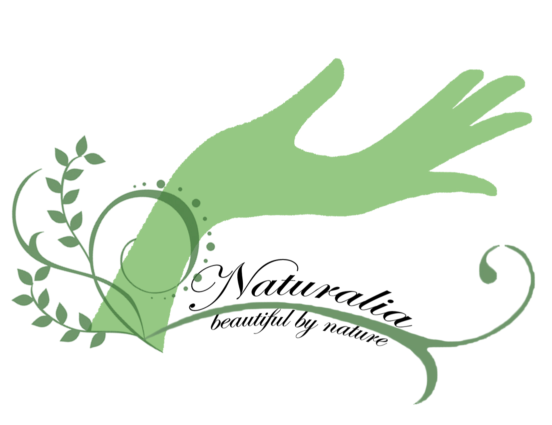 Logo-Design von Mitch für dieses Projekt | Design #481086