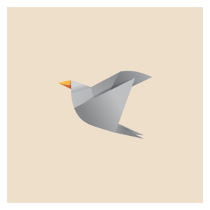 Logo Design by Angus Grafik Co.