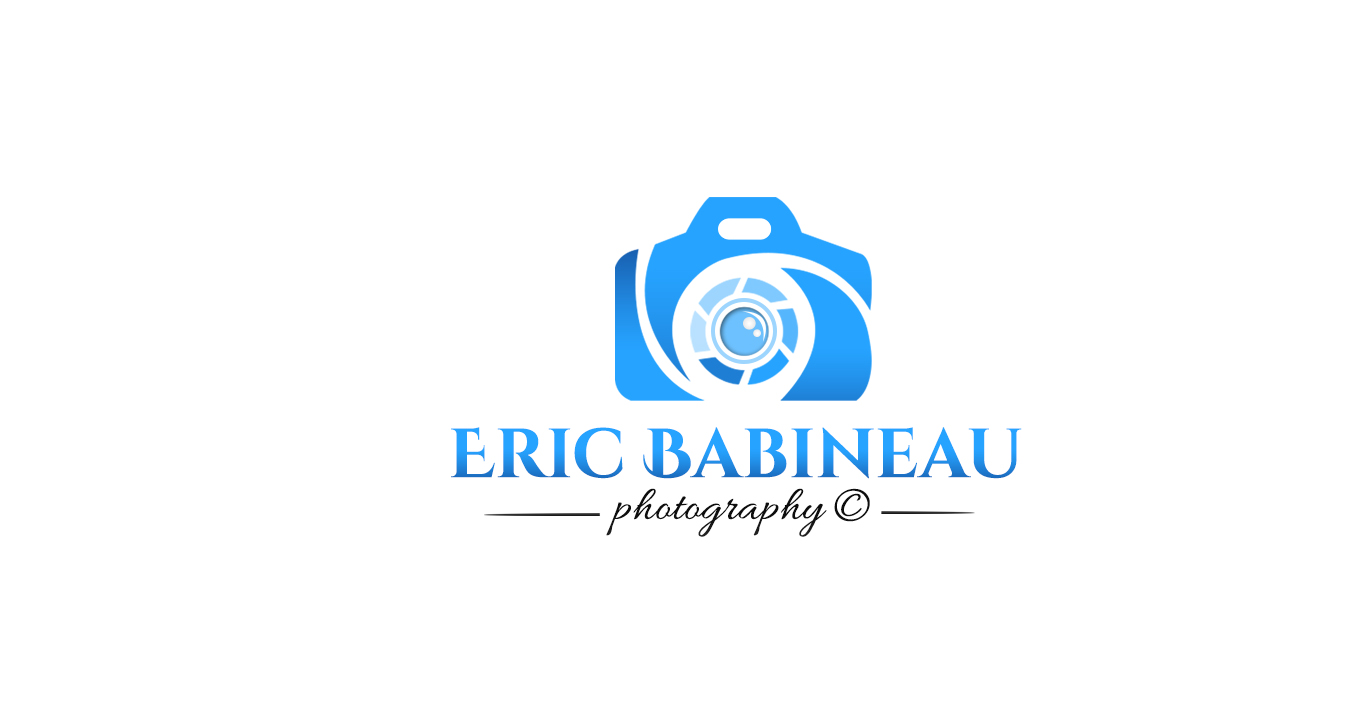 Logo Design by FlyingPen for this project | Design #10855549