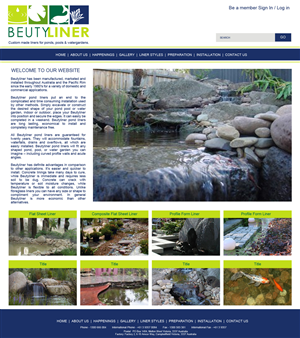 Web Design by noelopan1955