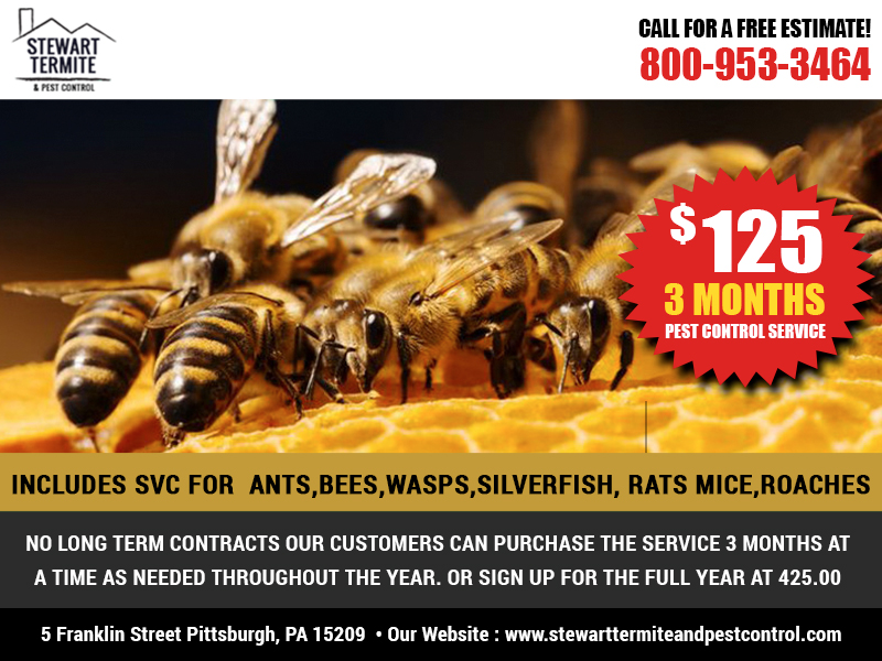 Postcard Design by Best Design Hub for this project | Design #10821198