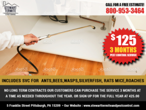 Postcard Design by Best Design Hub for this project | Design: #10821332