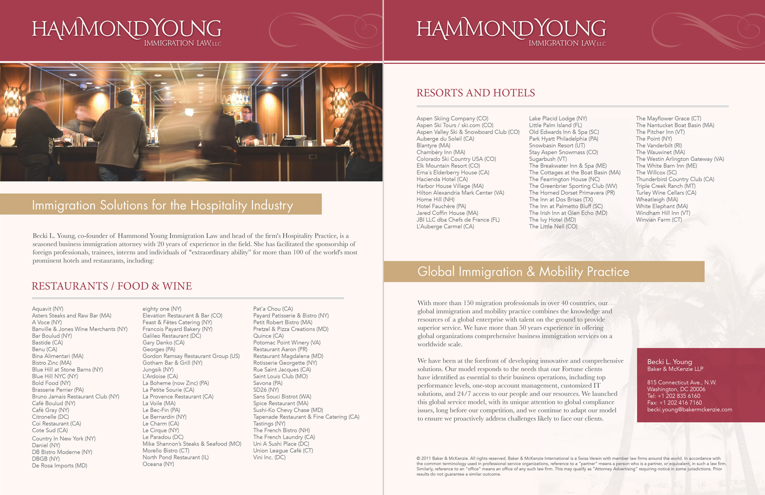 Diseño de Flyer por ts95studios para Hammond Young Immigration Law, LLC | Diseño #10919123
