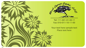 Business Card Design by Pratik for this project | Design #2252527
